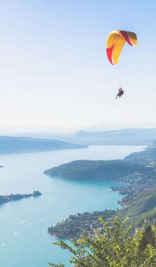 environnement vignette