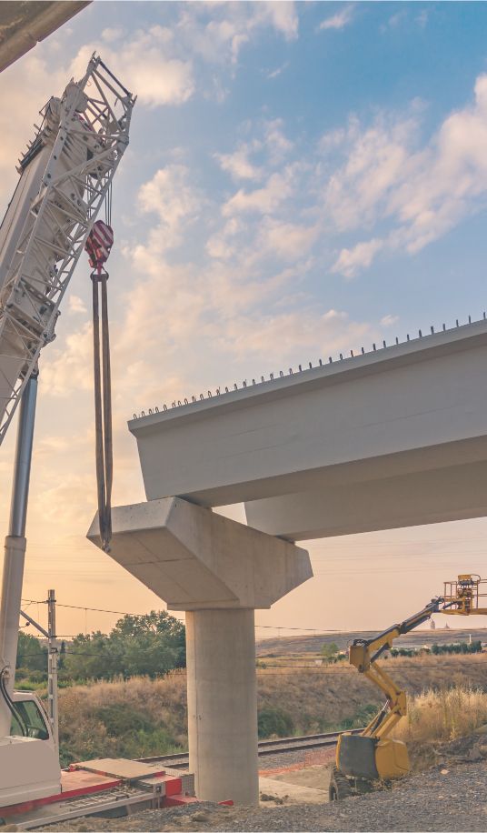 grand public vignette